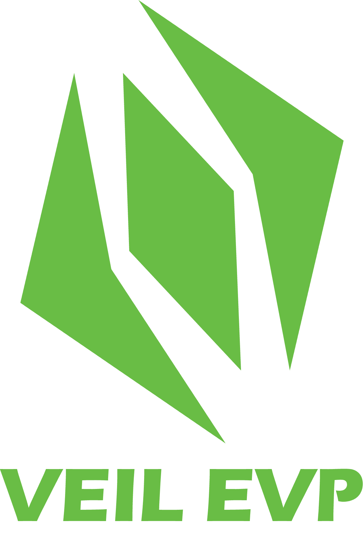 Veil EVP Logo